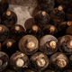 Image for article titled Couple may have unearthed Prohibition-era booze behind basement wall